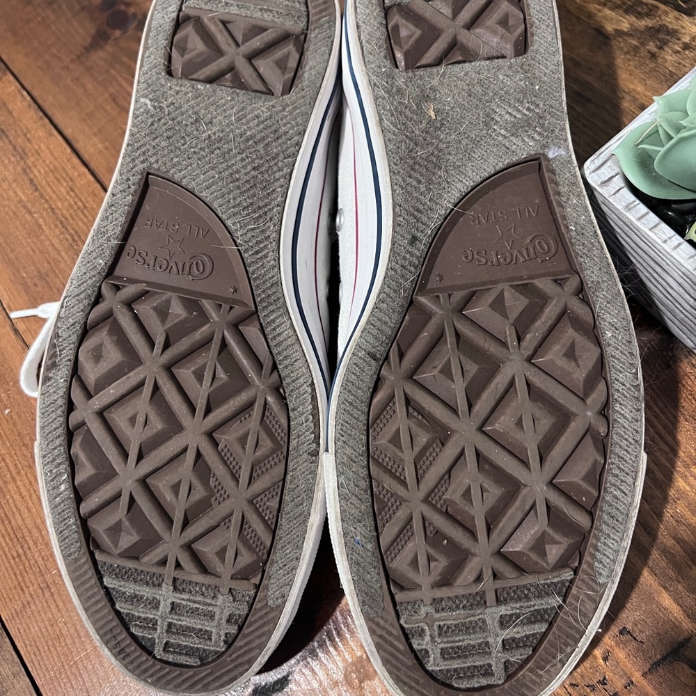 Converse All-Star | Classic White Canvas Sneakers - Picture 4 of 4